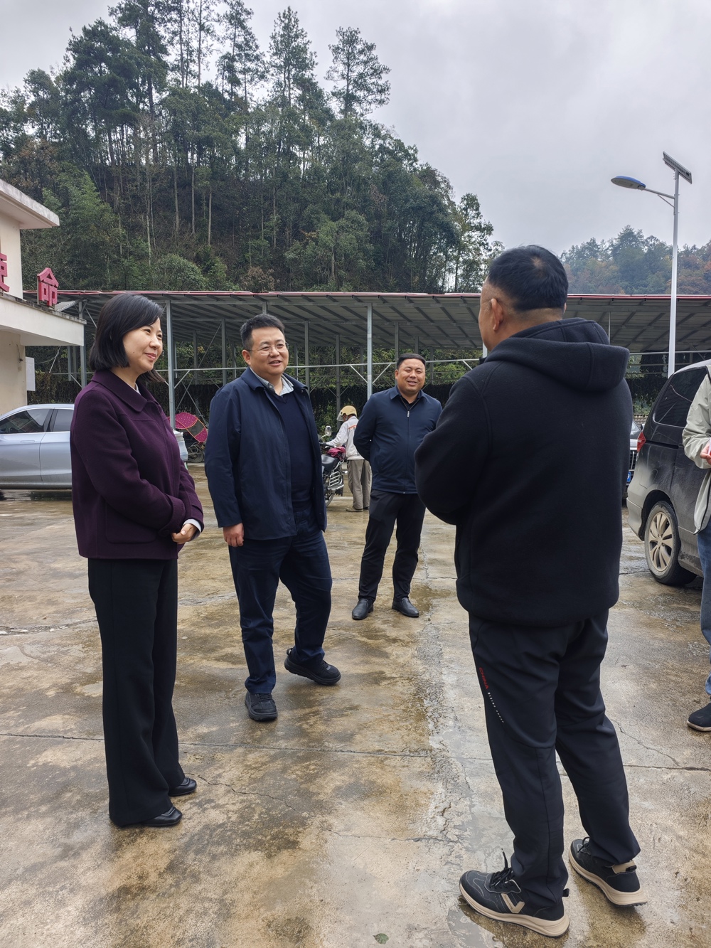 微信图片_20251107155004_149_187