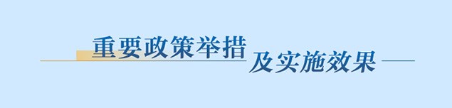 重要政策举措及实施效果