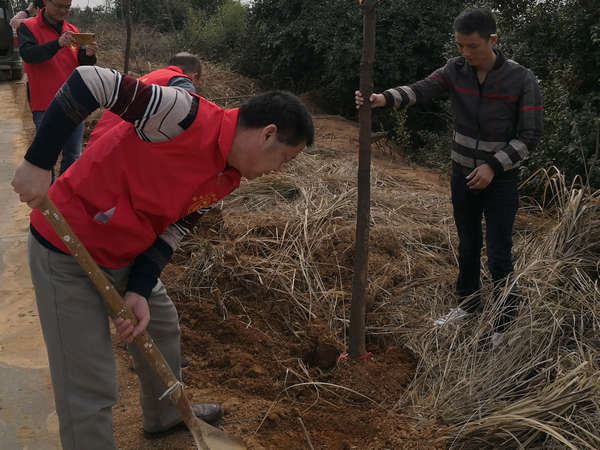 3.13义务植树 (30).jpg